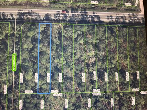 2667 Hammock Rd, Sebring FL 33872