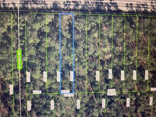 2651 Hammock Rd, Sebring FL 33872