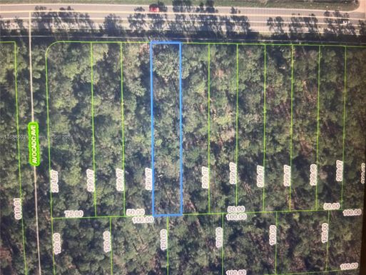 2637 Hammock Rd, Sebring FL 33872