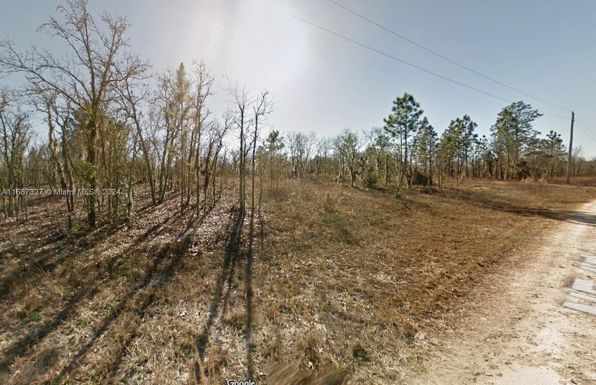 Lot 23 NE 15th Ln, Williston FL 32696