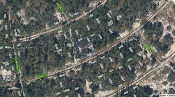 380 Showboat Avenue, Lake Placid FL 33852