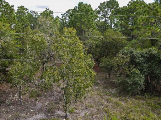 LOT 21 SW Breakwater Blvd, Other City - In The State Of Florida FL 34431