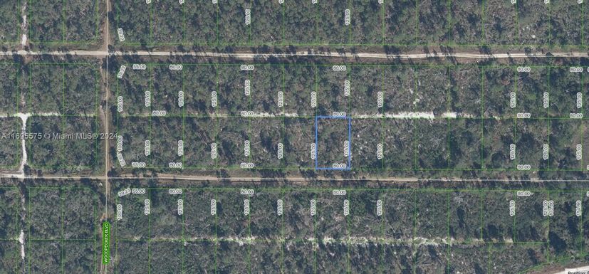 448 Parrot Avenue, Sebring FL 33870