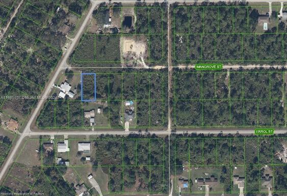 1411 Mangrove Street, Lake Placid FL 33852