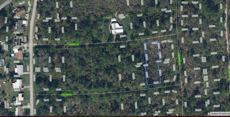 233 Daisy Lane, Lake Placid FL 33852