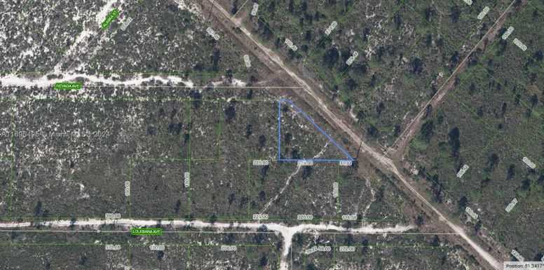 536 Nevada Avenue, Lake Placid FL 33852