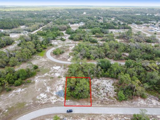 1315 HOMOSASSA CT, Other City - In The State Of Florida FL 34759