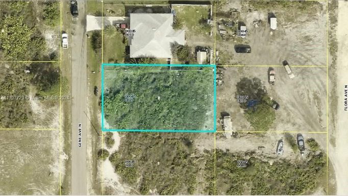 4602 GENE AVE N, Lehigh Acres FL 33971