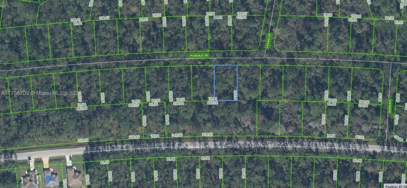 8007 Rosebud Drive, Sebring FL 33872