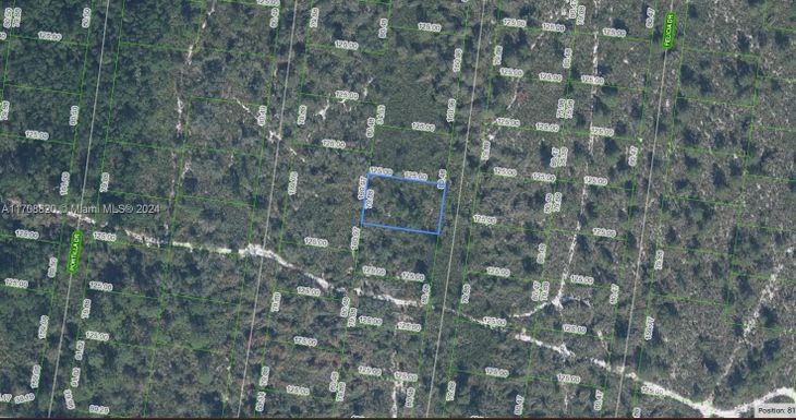 6448 Alicia Drive, Sebring FL 33872