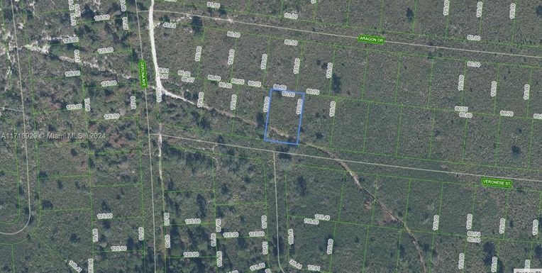 8136 Veronese Street, Sebring FL 33872