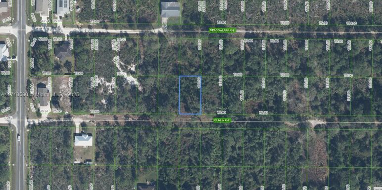 251 Dunlin Avenue, Sebring FL 33870