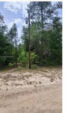 111 George Dr, Palatka FL 32148