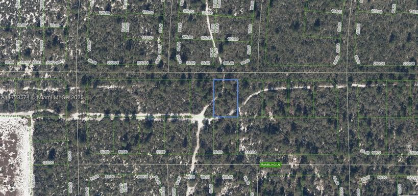 437 Souvenir Lane, Lake Placid FL 33852