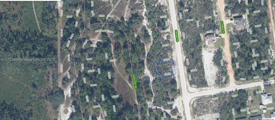2433 Hartman Road, Avon Park FL 33825