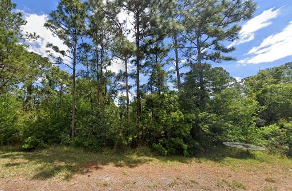 354 Wildcat St, Lake Placid FL 33852