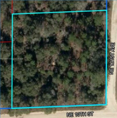 UNIT 14 BLK 57 LOT 5, Williston FL 32696