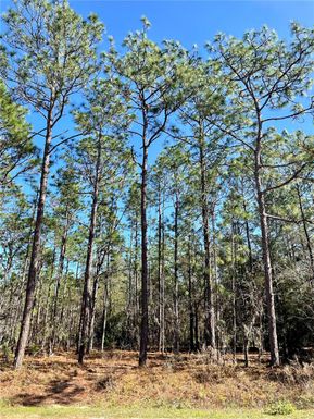 Lot 10 SW 135 Terr, Ocala FL 34481