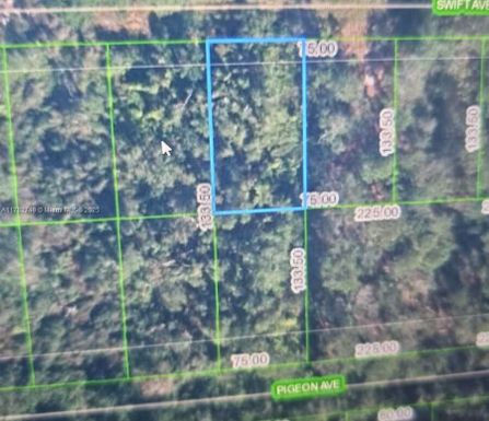 234 Swift Ave, Sebring FL 33870