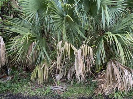 1019 SW Hamrock Ave, Port St. Lucie FL 34953