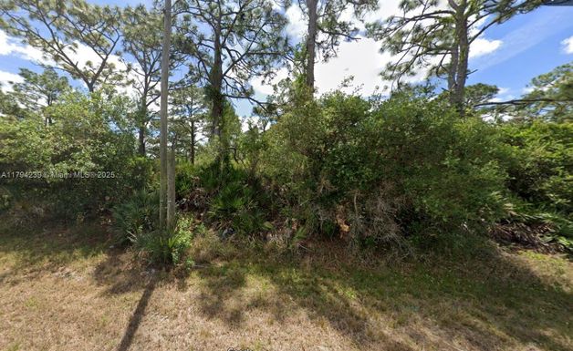 430 NW Tiger St, Lake Placid FL 33852