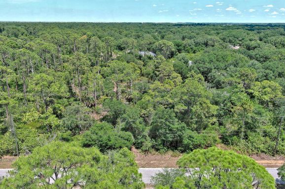 1908 MCARTHUR AVE, Lehigh Acres FL 33972