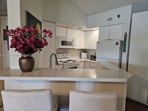 12510 Vista Isles # 1223, Sunrise FL 33325