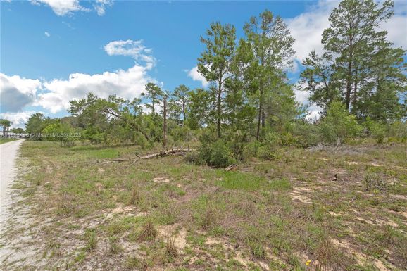 3055 Scoralick Rd,, Avon Park FL 33825