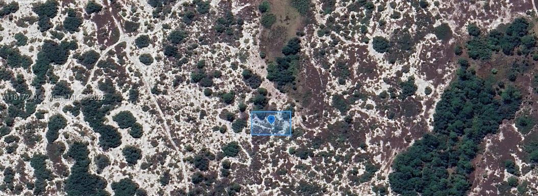 462 Isle of Capri Ln, Lake Placid FL 33852