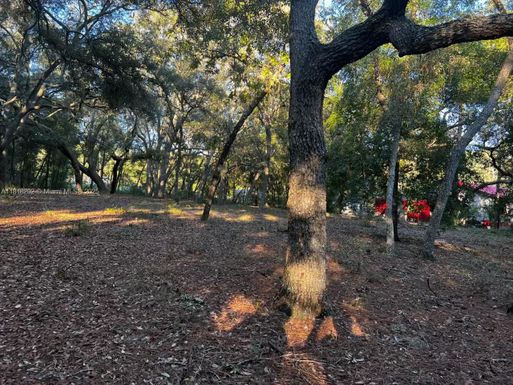 6360 Cascade Dr, Other City - In The State Of Florida FL 32656