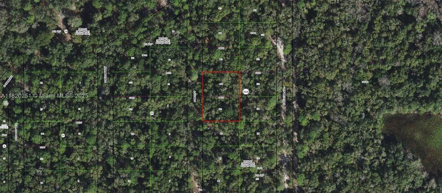 3927 S Ibis Point, Inverness FL 34450