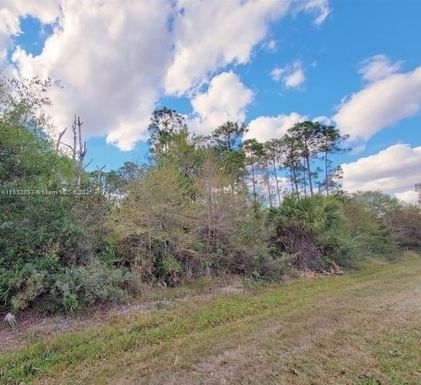 305 Yeehaw Ave, Clewiston FL 33040