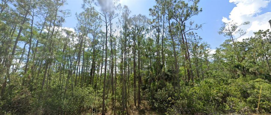 1903 Weller Ave, Lehigh Acres FL 33972