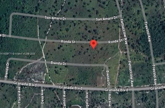 7811 RONDA ST, Sebring FL 33872