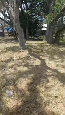 2118 Steiner Ave, Sebring FL 33870