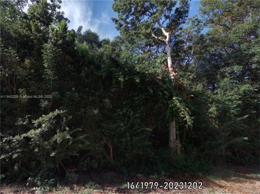 00 Poinsetta, Other City - In The State Of Florida FL 33037