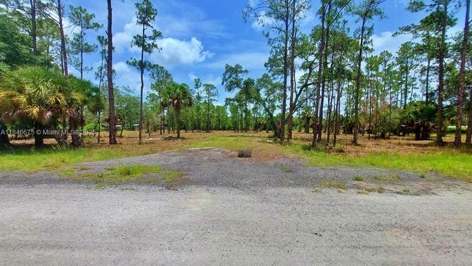 215 APPALOOSA AVE, Other City - In The State Of Florida FL 33440