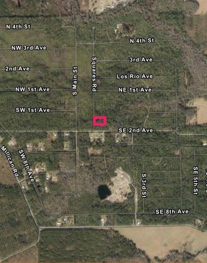 00 Unassigned Location RE, Palatka FL 32177