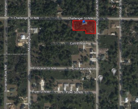966 ST NW CHALLENGER, Lake Placid FL 33852