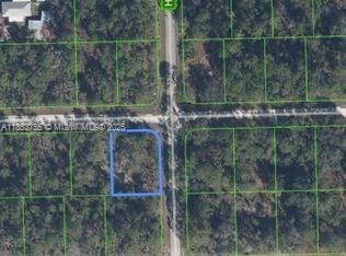 1001 Hummingbird, Lake Placid FL 33825