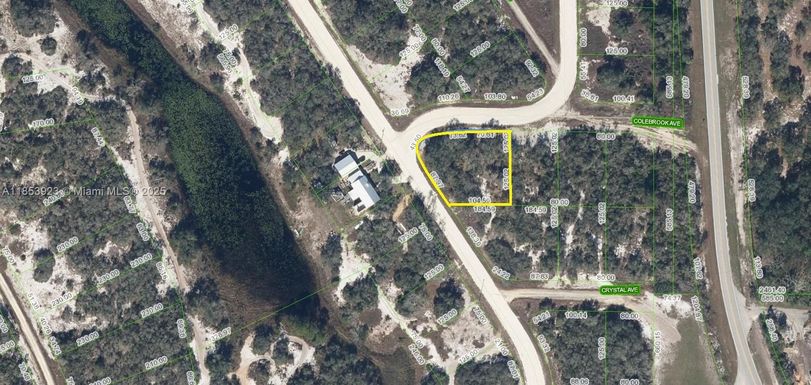 231 Lakeland Dr, Lake Placid FL 33852