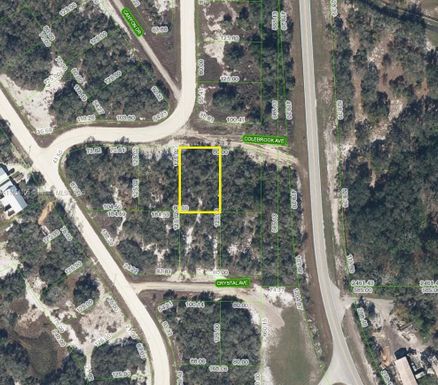 105 Colebrook Ave, Lake Placid FL 33852