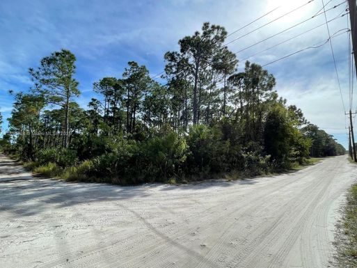 0 Slash Pine Trl, Fort Pierce FL 34951