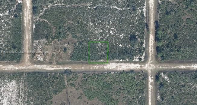 2222 favre rd, Avon Park FL 33825