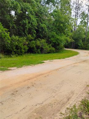 228 Atkins, Cresent City FL 32139