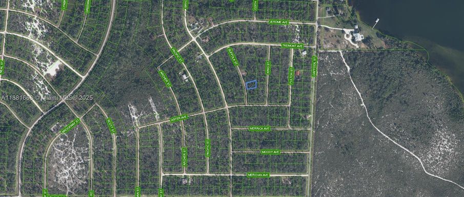 729 Suffolk Street, Lake Placid FL 33852