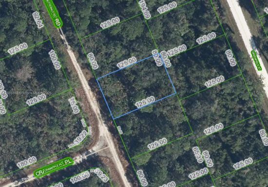 1131 BUTTERNUT RD, Lake Placid FL 33852
