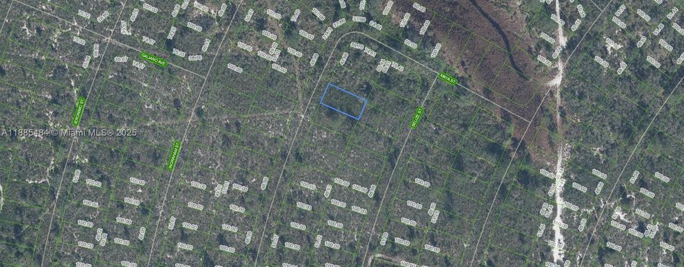 4725 MAYA St, Sebring FL 33872