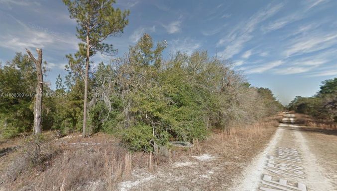 Lot 11 NE 155th Ter, Williston FL 32696