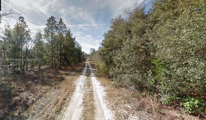 Lot 4 NE 156th Ct, Williston FL 32696